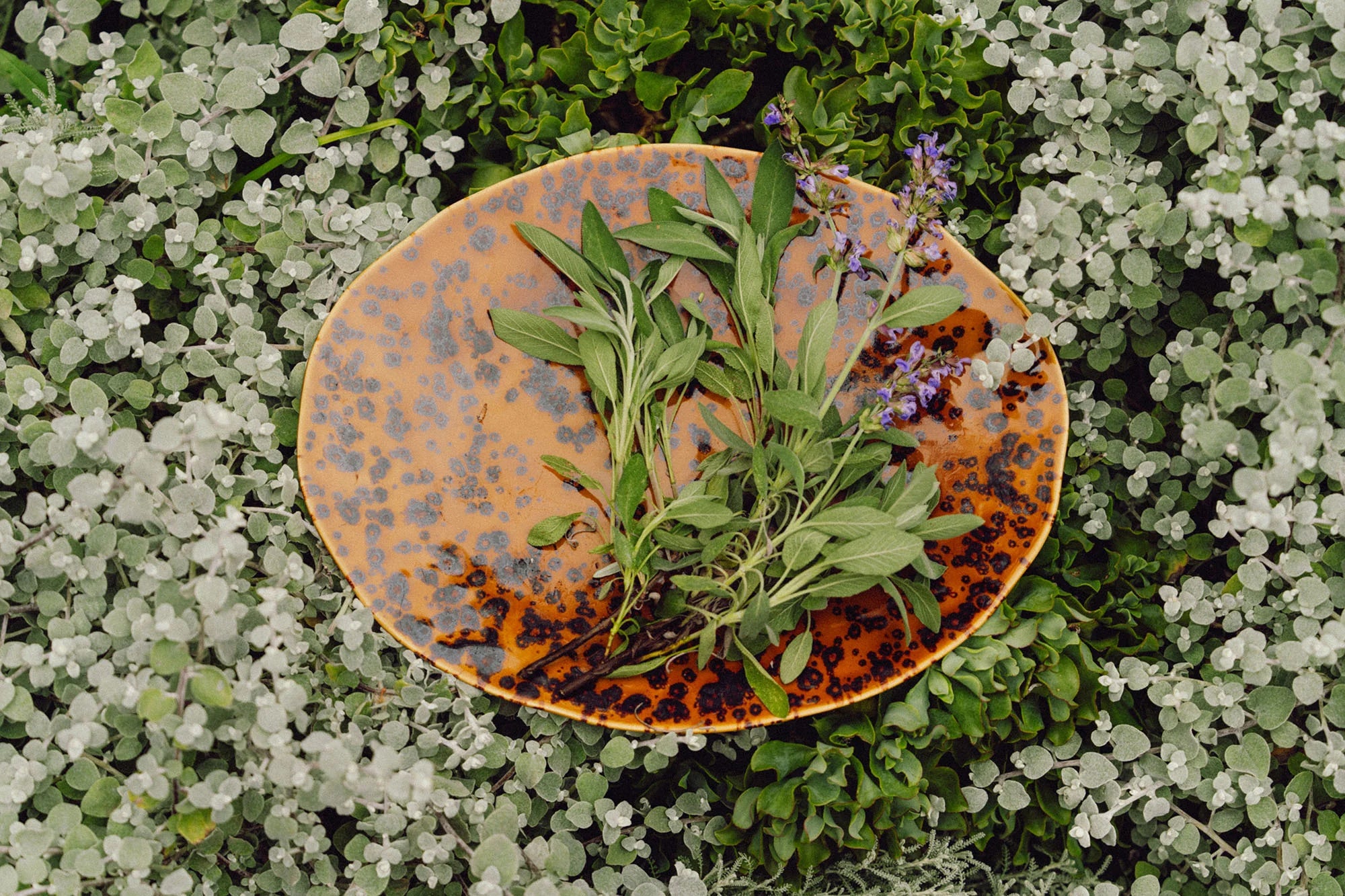 Sunfleck Serving Platter