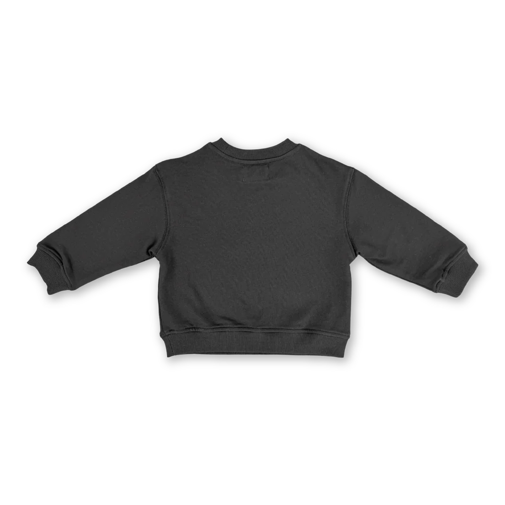 Parrot Fish Jumper - Ash