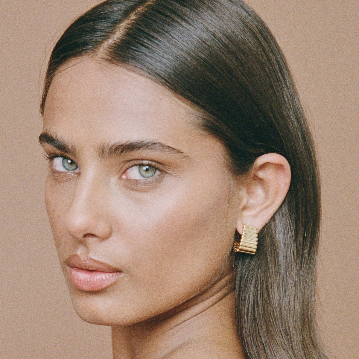 Turtle Earrings - Gold