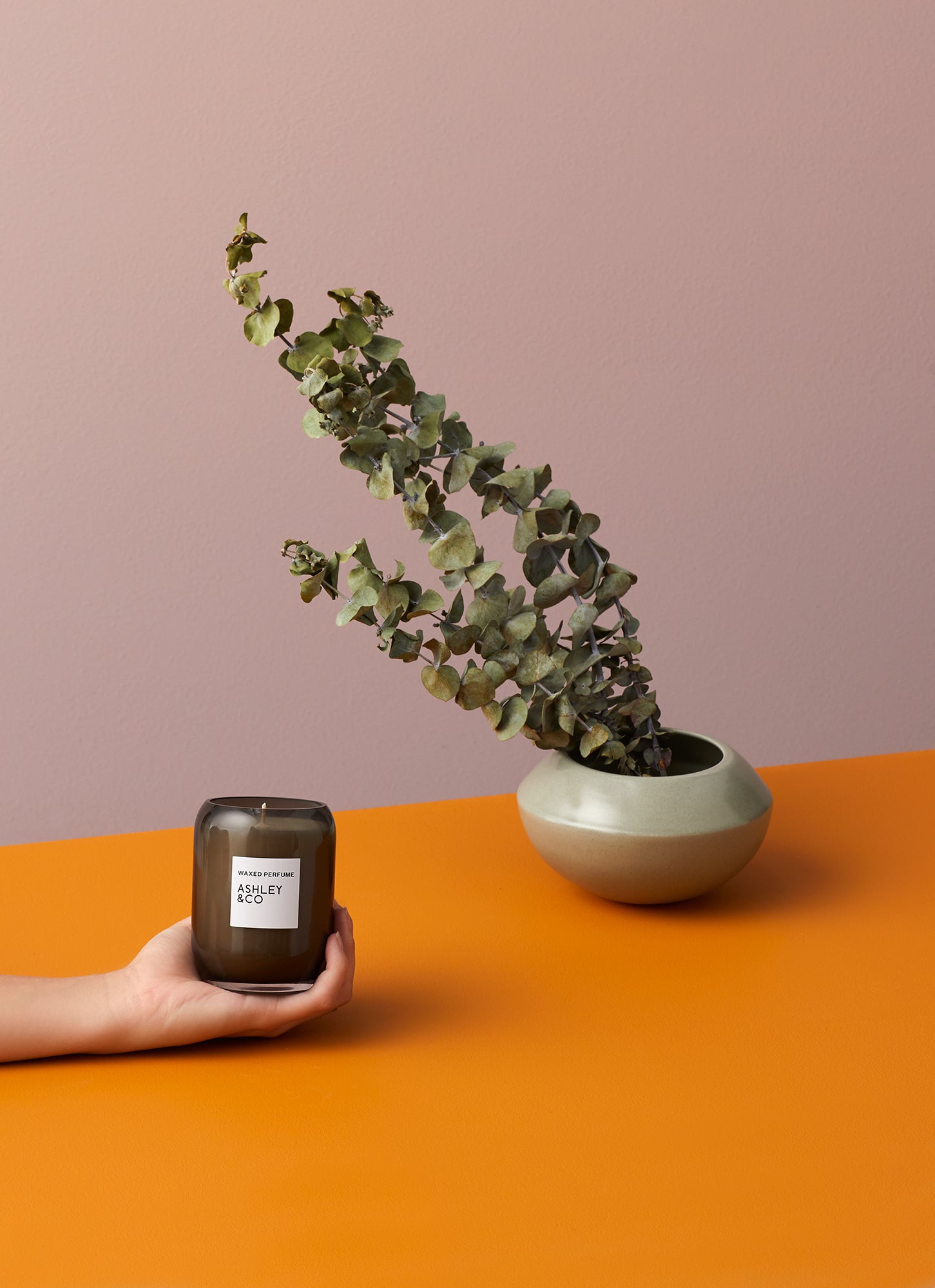 Waxed Perfume - Once Upon & Time