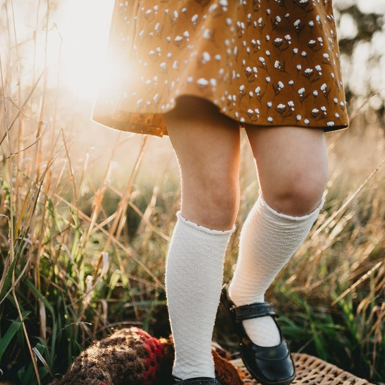 Picnic Knee-High Socks - Macaroon